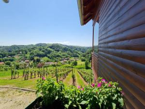 Fotografia z galérie ubytovania Ruralna kuća za odmor RAJSKI MIR v destinácii Tuhelj