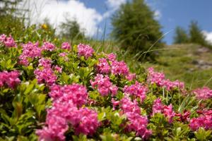 Giardino di Hotel Ennskraxblick