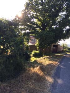 uma casa debaixo de uma árvore ao lado de uma estrada em Casa Taboada Ribeira Sacra em Vilelos
