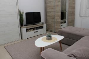 تلفاز و/أو أجهزة ترفيهية في Apartman Lola, Divcibare