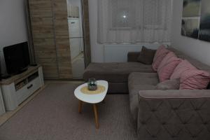 تلفاز و/أو أجهزة ترفيهية في Apartman Lola, Divcibare