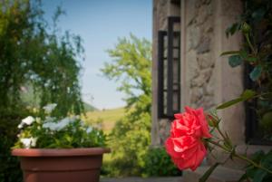 Zahrada ubytování El Molino de Cicera