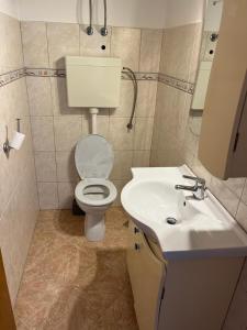 Koupelna v ubytování Apartmani Tomić