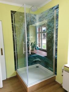 a shower with a glass door in a bathroom at Ferienwohnung Am Atelier in Rathenow +14 photos