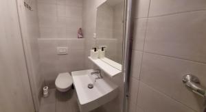 Koupelna v ubytování Pension Apartmány Harrachov 288