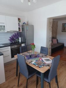 Kuchyň nebo kuchyňský kout v ubytování Apartment Karla SNB