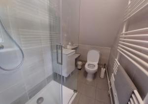 Koupelna v ubytování Pension Apartmány Harrachov 288