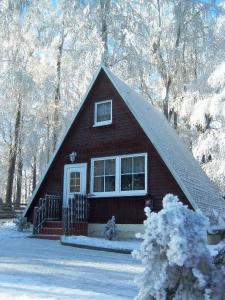 Ferienpark Rosstrappe في ثال: بيت احمر صغير في الثلج مع الاشجار