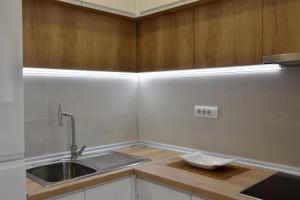 a small kitchen with a sink and a counter at Frajla in Novi Sad