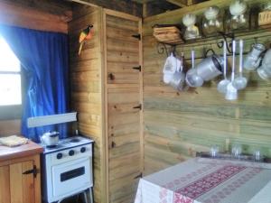 a kitchen with a stove and a wooden wall at Horneritos - Cabaña en Villa Serrana in Villa Serrana
