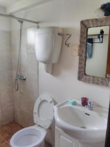 a bathroom with a toilet and a sink and a mirror at Horneritos - Cabaña en Villa Serrana in Villa Serrana