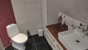 a bathroom with a white toilet and a sink at Bambina's Guest House in Kristianstad
