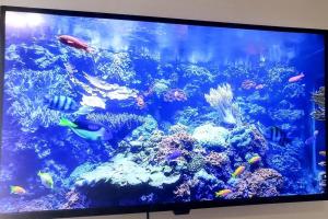 TV o dispositivi per l'intrattenimento presso Stylish Suite Tampa Minutes to Hard Rock Casino