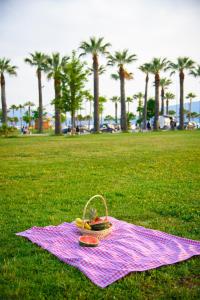 a picnic blanket with a basket and fruit on a field at DANTE APARTAMENT in Vlorë