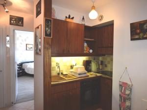 Kuchyň nebo kuchyňský kout v ubytování Appartement agréable à Évian avec animaux admis - FR-1-498-77