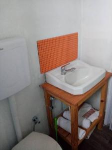 y baño con lavabo y aseo. en Uy - ROMÁNTICA Cabaña en entorno Natural único en Mercedes