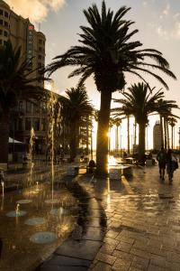 a group of palm trees in a square with a fountain at The Heart of Glenelg in Glenelg