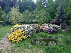 Vonkajšia záhrada v ubytovaní DOMEK POD ŚMIELCEM