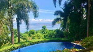 una piscina en medio de un bosque con palmeras en Villas by Eco Hotels Batangas, en Mataasnakahoy