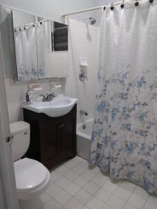 a bathroom with a sink and a toilet and a shower curtain at brighton beach rooms in Brooklyn +33 photos