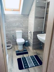 a small bathroom with a toilet and a sink at Chata Lipa in Smrečany