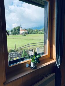 a window with a potted plant sitting on a window sill at Chata Lipa in Smrečany +7 photos