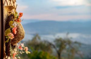 Fotografie z fotogalerie ubytování Pelion Villa Evzimthea, Secret Paradise amid Woods v destinaci Volos