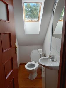 a bathroom with a toilet and a sink at Dar Lasu in Szczytno