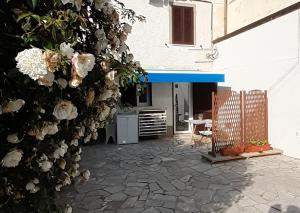 - une cour ornée de fleurs blanches sur le côté d'un bâtiment dans l'établissement MaRosa, à Montignoso