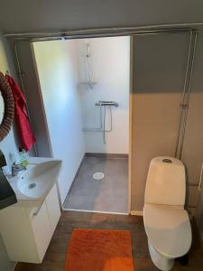 a bathroom with a shower with a toilet and a sink at Lilla Sandslätt in Åhus