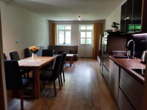 Kuchyň nebo kuchyňský kout v ubytování Apartmán Karlova Studánka