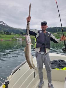 Fotografie z fotogalerie ubytování Kvernesfjorden Apartments v destinaci Averoy