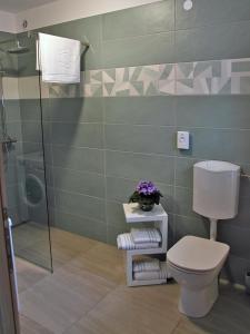 La salle de bains est pourvue d'une douche et de toilettes. dans l'établissement Apartment Baban in Žaga, Slovenia, à Žaga