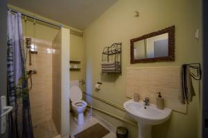 a bathroom with a sink and a toilet and a mirror at Parkside Vila in Odorheiu Secuiesc
