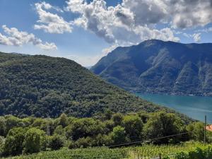 a view of a hill with a lake and mountains at Cascina Teresina in Veleso
