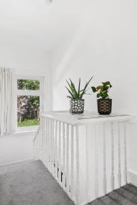 deux plantes en pot assises sur un mur blanc dans l'établissement Stunning Victorian property near Canary Wharf!, à Londres