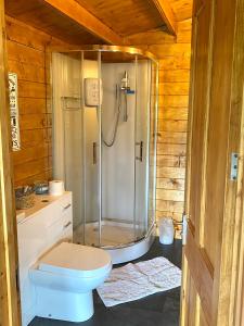 a bathroom with a shower and a toilet at The Postage Stamp Cabin in Marstow
