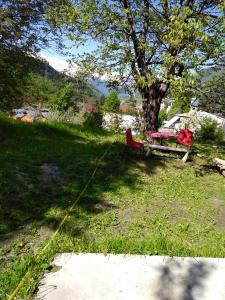 Paesaggio naturale nelle vicinanze dell'affittacamere