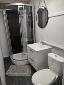 a bathroom with a shower and a toilet and a sink at Gite Les Eylauds in Pionsat +38 photos