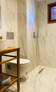 La salle de bains est pourvue d'une douche et de toilettes. dans l'établissement Palazzo Arhontiko Apartments, à Agios Nikolaos
