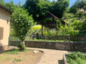 Zahrada ubytování Bed n Breakfast Obermumpf
