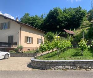 una casa con un grappolo d'uva in un giardino di Bed n Breakfast Obermumpf a Stein