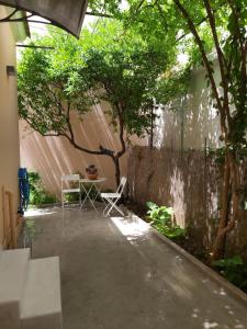 A garden outside Mid century character house in Argostoli