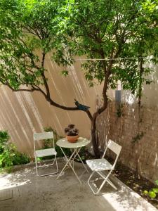 A garden outside Mid century character house in Argostoli