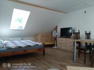 TV a/nebo společenská místnost v ubytování Wellness apartmán Beavital