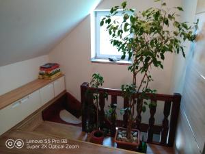 Dolany에 위치한 Wellness apartmán Beavital에서 갤러리에 업로드한 사진