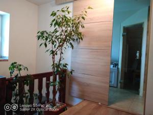 Dolany에 위치한 Wellness apartmán Beavital에서 갤러리에 업로드한 사진