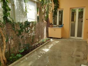 A garden outside Mid century character house in Argostoli