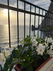 Táj Show holiday homes közelében