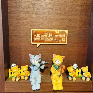 金宁乡欢乐满屋的相册照片